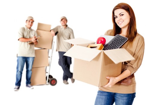 Professional van service for lawful goods and waste handling